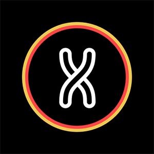 X Browser